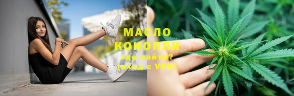 сатива Беломорск