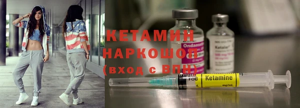 сатива Беломорск