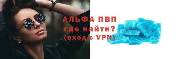 сатива Беломорск