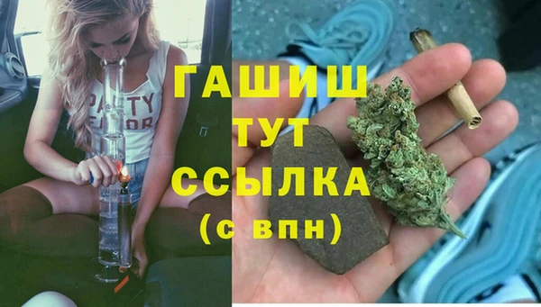 сатива Беломорск