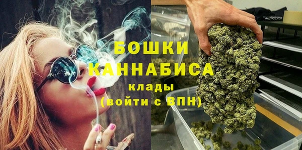 сатива Беломорск