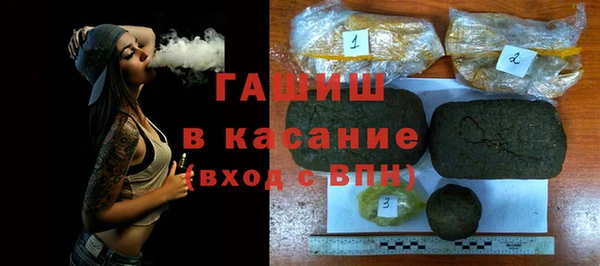 сатива Беломорск