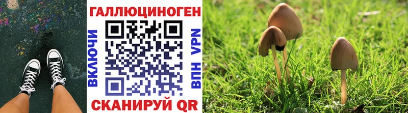 наркотики  Ворсма  omg ссылка  Псилоцибиновые грибы прущие грибы 